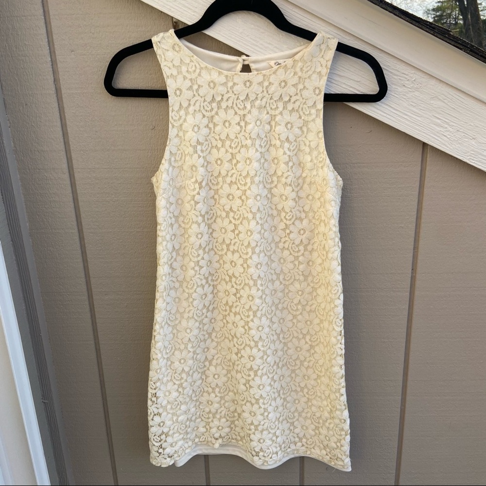 MISS SELFRIDGE Cream Floral Lace Shift Dress